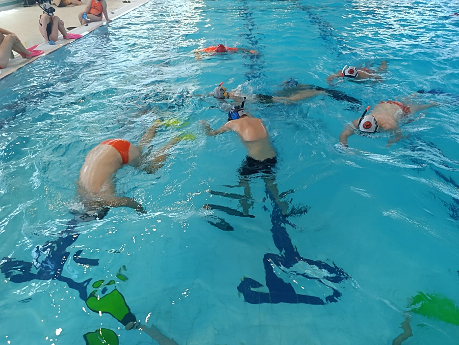 Hokej pod wodą Walenie Czeskie Budziejowice Bud Pig Cup 2026